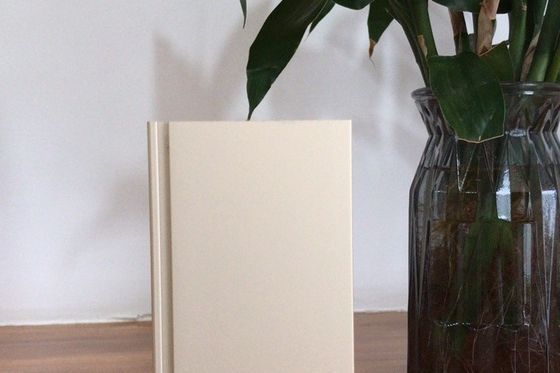 Linha de produção Manunal Oxidação com capacidade de fornecimento mensal de 900 toneladas